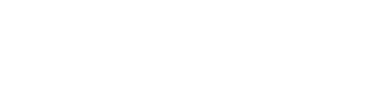 Conservative Fighter for Michigan's Future